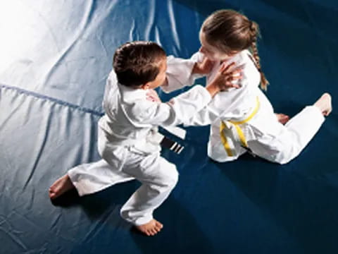 a boy and girl in karate uniforms