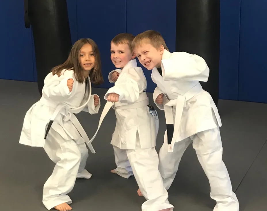 a group of children in karate uniforms