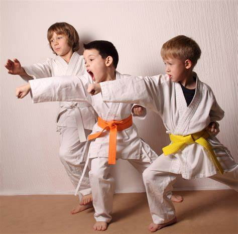 a group of boys in karate uniforms