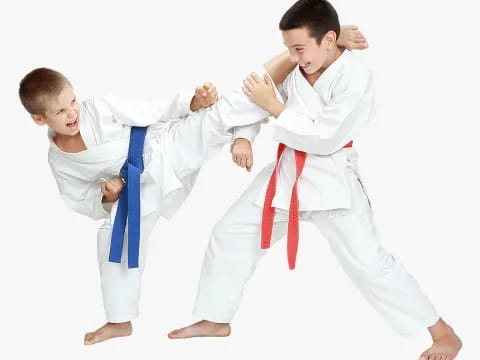 a few boys in karate uniforms