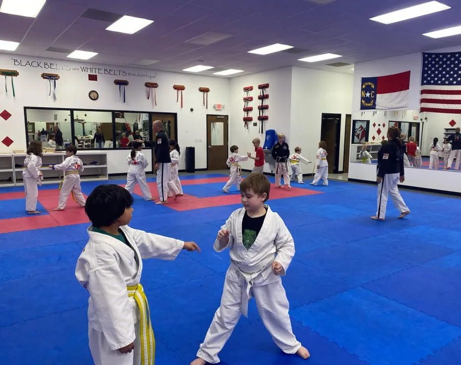 a group of children in a karate class