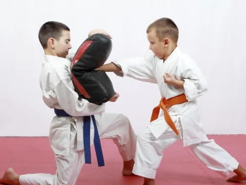 two boys in karate uniforms