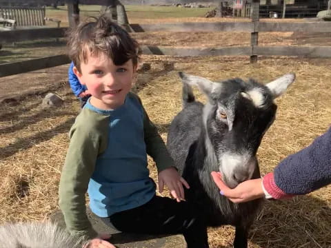 a child petting a goat