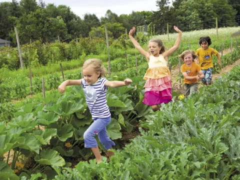 a group of children in a field