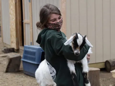 a person holding a goat
