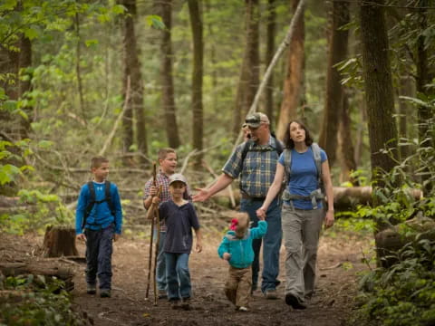 a group of people walking in the woods