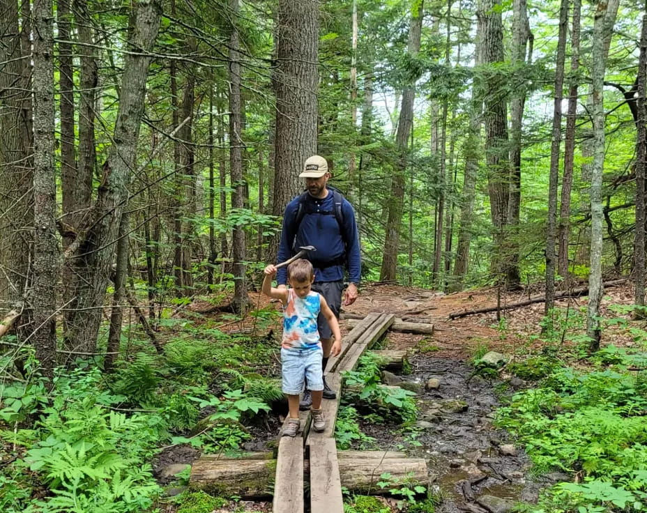 a man and a child on a wooden bridge in the woods