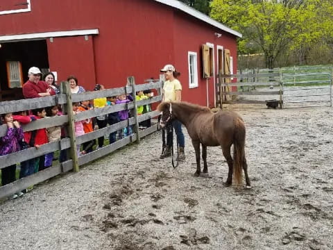 a person stands next to a horse