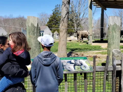 a group of people looking at an animal in a zoo exhibit