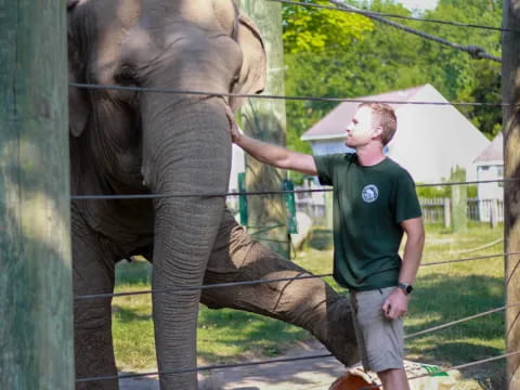 a man petting an elephant