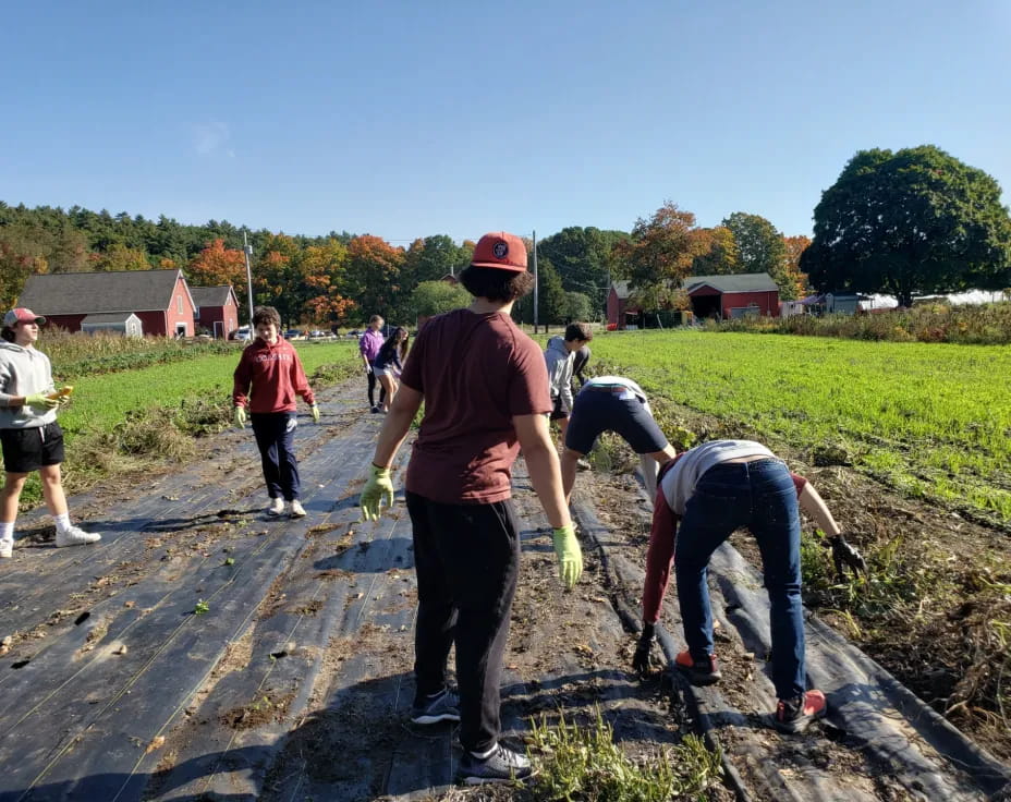 a group of people working on a field