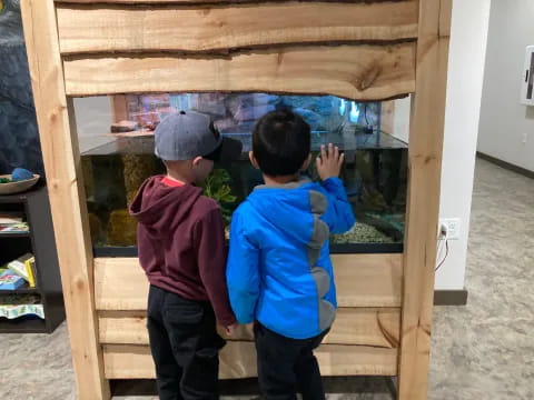 two boys looking at a fish tank