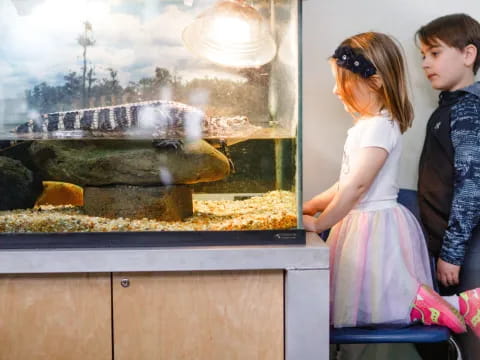 a boy and girl looking at a large aquarium