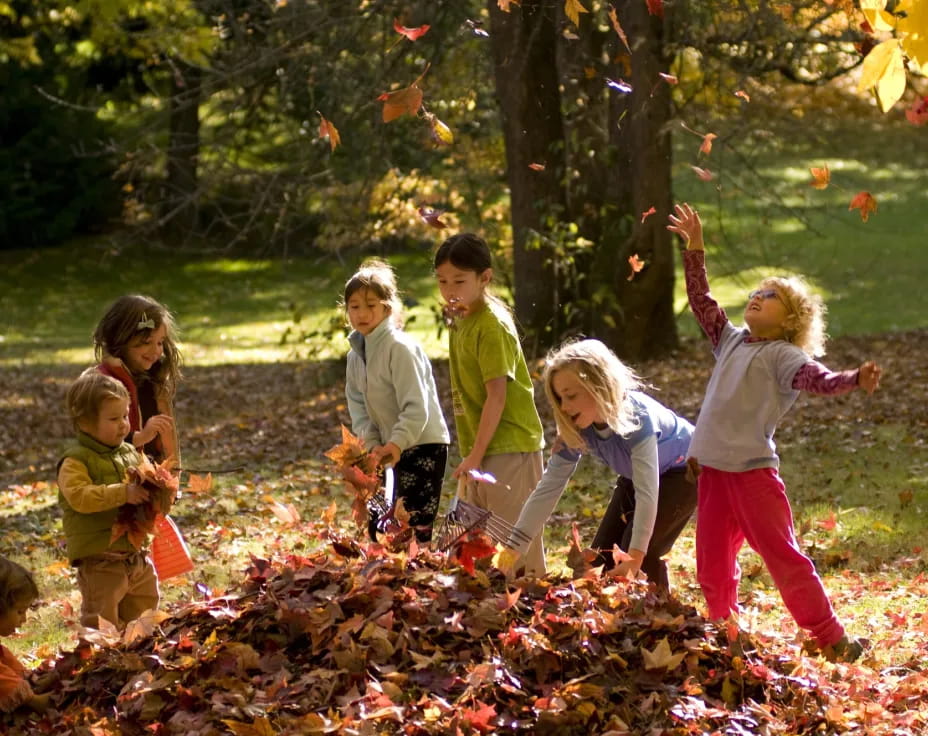 a group of children playing in the leaves