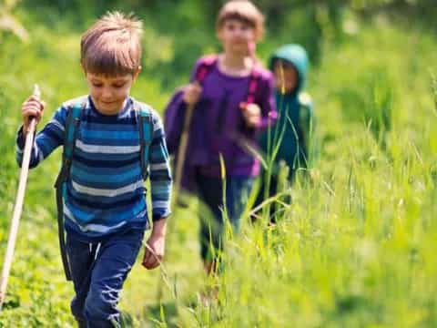 a group of people walking through a field