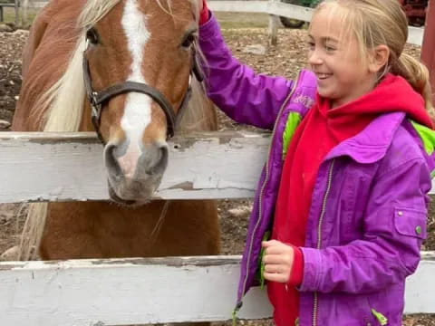 a girl petting a horse