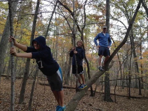 a group of people climbing a tree