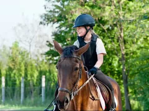 a person riding a horse