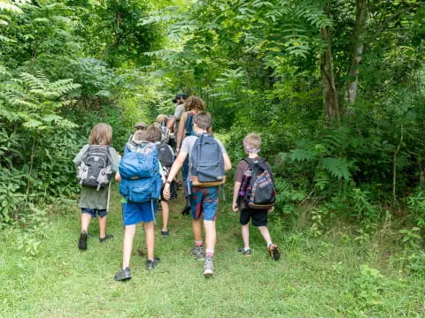 a group of people hiking in the woods