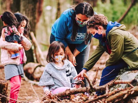 a group of people looking at a tree stump