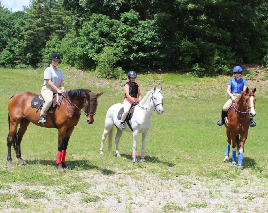 a group of people riding horses