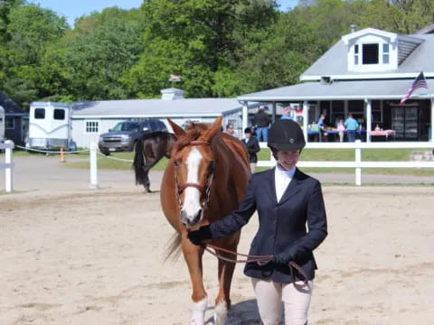 a man holding a horse