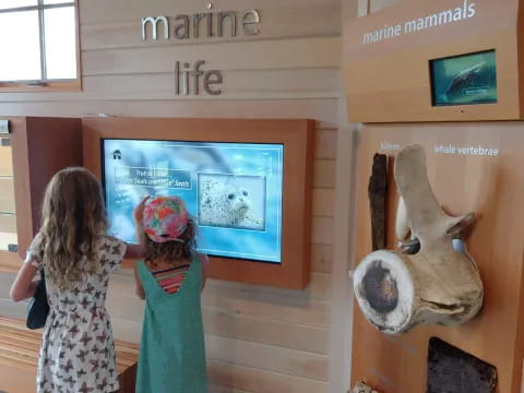 a couple of girls looking at a display of a horse