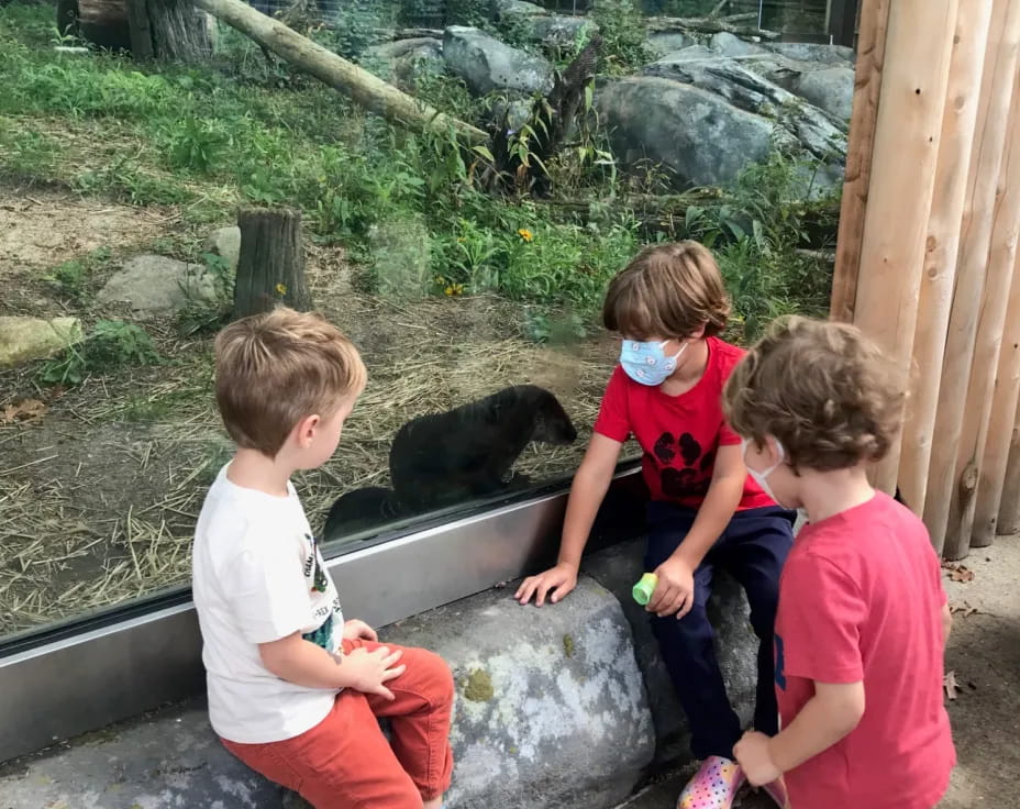 a group of kids playing with a cat in a cage