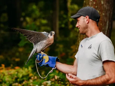 a man holding a bird