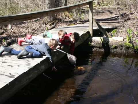 a group of kids playing in a stream