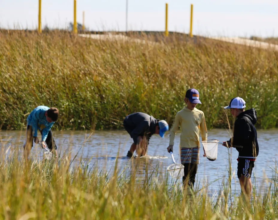 a group of people working in a field