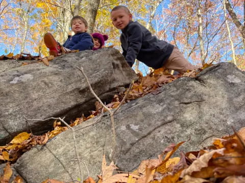 a couple of boys sitting on a rock in the woods