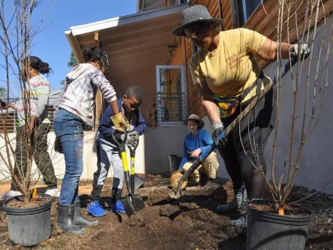 a group of people digging