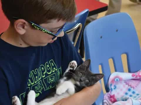 a boy holding a cat