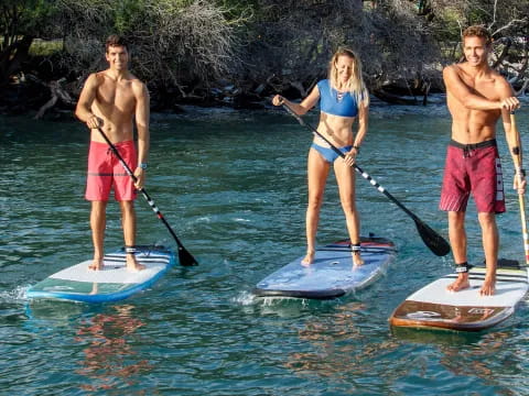 a group of people paddle surfing