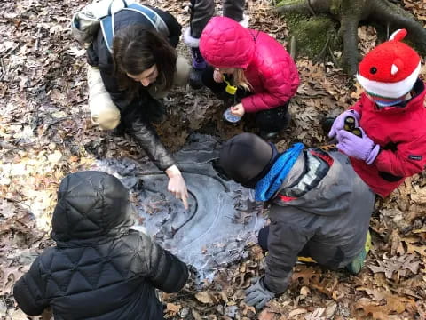 a group of people in the woods