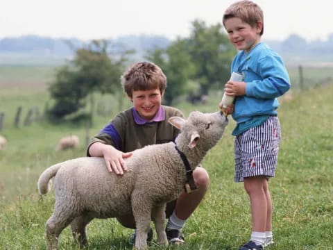 a couple of kids petting a sheep