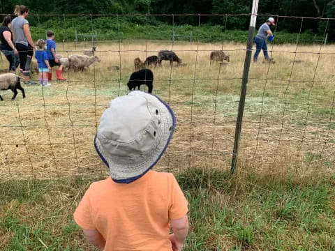 a group of people looking at animals in a cage