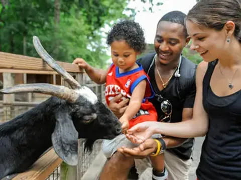 a woman holding a baby and a baby goat