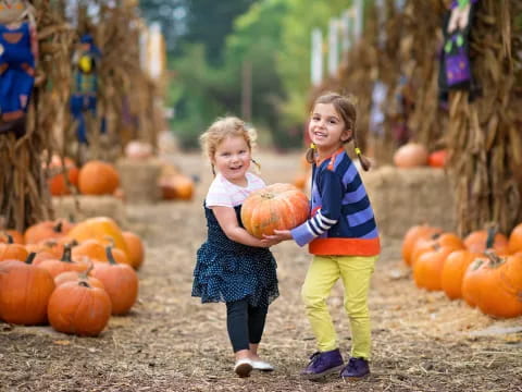 a person and a child standing in front of pumpkins