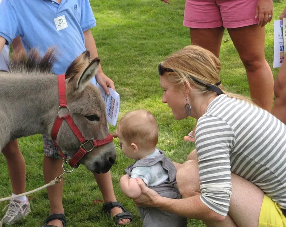 a person and a baby petting a horse