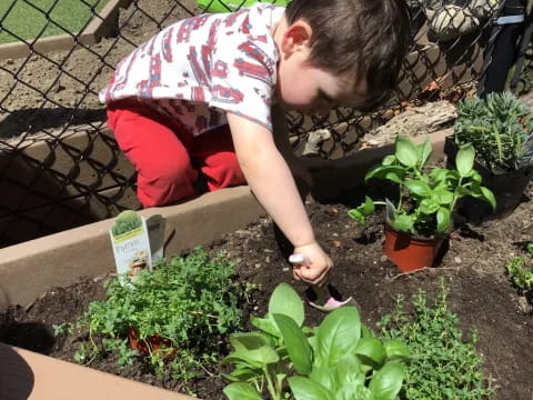 a boy planting plants in a garden