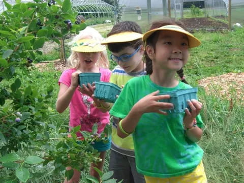 a group of children in a garden