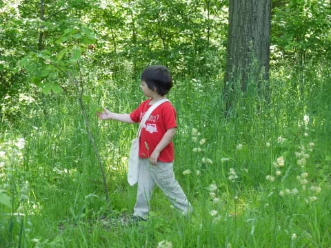 a child standing in a grassy area