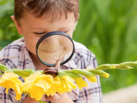 a boy holding a plant