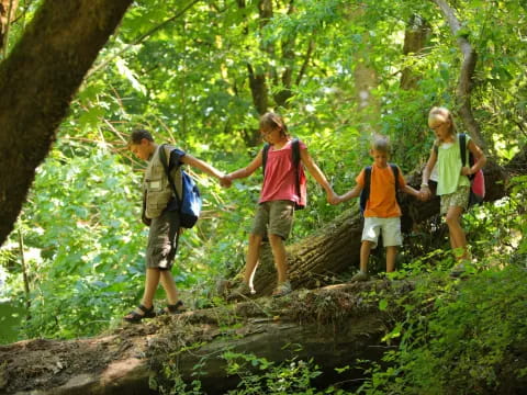 a group of people hiking in the woods