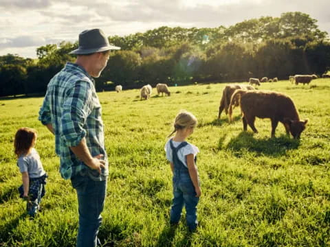 a person and a couple children looking at a cow in a field