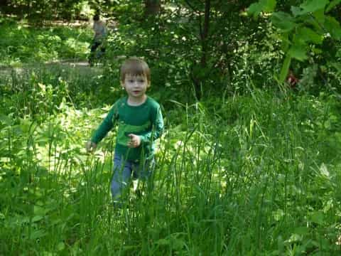 a child walking through tall grass