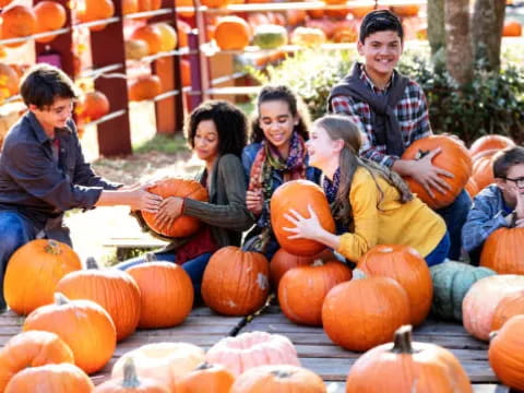 a group of people sitting in a pumpkin patch