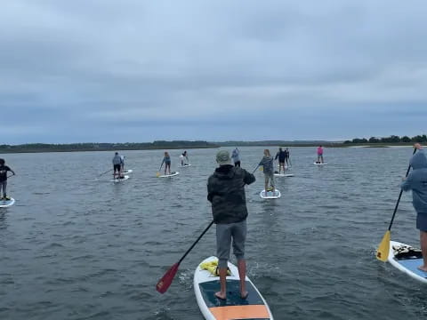 a group of people paddle on surfboards